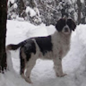 Meet your Posher, Ann